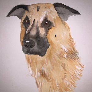 Dog Watercolor
